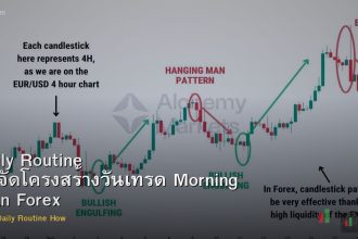 Daily Routine วิธีจัดโครงสร้างวันเทรด Morning Plan Forex