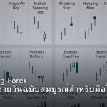 Day Trading Forex คู่มือเทรดรายวันฉบับสมบูรณ์สำหรับมือใหม่