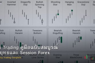 Day Trading คู่มือฉบับสมบูรณ์ กลยุทธ์และ Session Forex