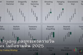 Day Trading กลยุทธ์เทรดรายวัน Forex ไม่ถือข้ามคืน 2025