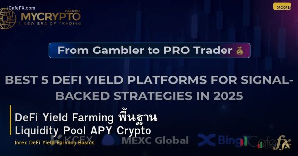 DeFi Yield Farming พื้นฐาน Liquidity Pool APY Crypto