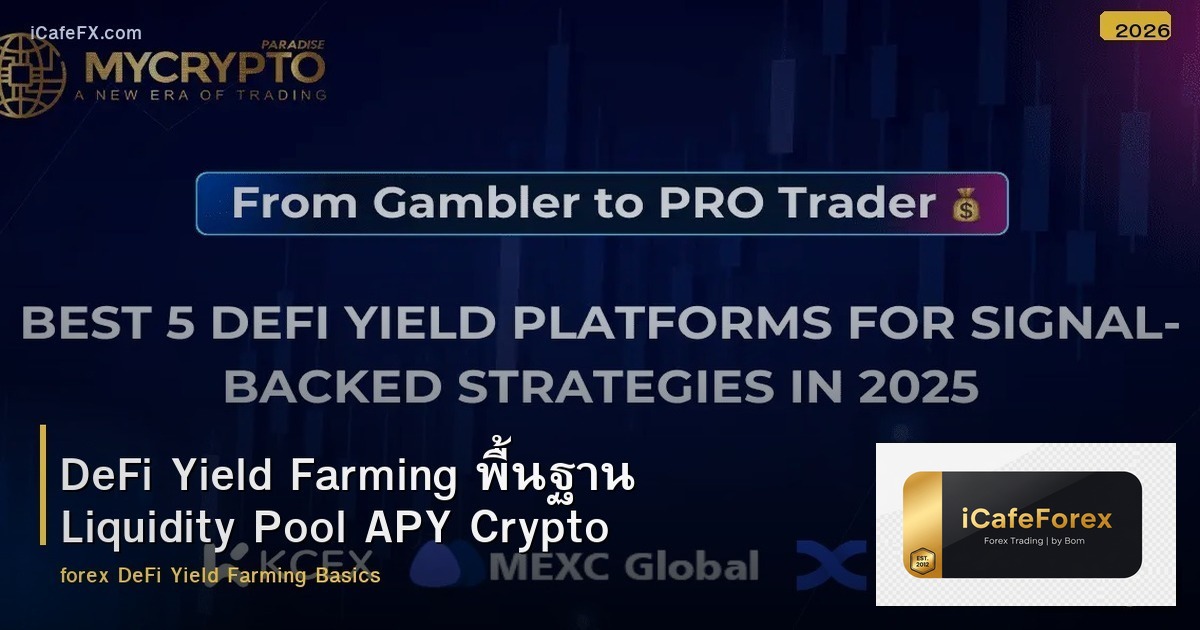 DeFi Yield Farming พื้นฐาน Liquidity Pool APY Crypto