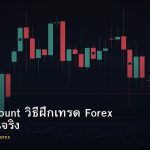 Demo Account วิธีฝึกเทรด Forex ก่อนใช้เงินจริง