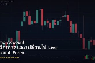 Demo Account วิธีฝึกเทรดและเปลี่ยนไป Live Account Forex