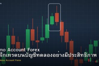 Demo Account Forex วิธีฝึกเทรดบนบัญชีทดลองอย่างมีประสิทธิภาพ