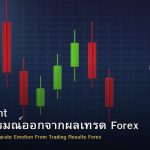Detachment วิธีแยกอารมณ์ออกจากผลเทรด Forex