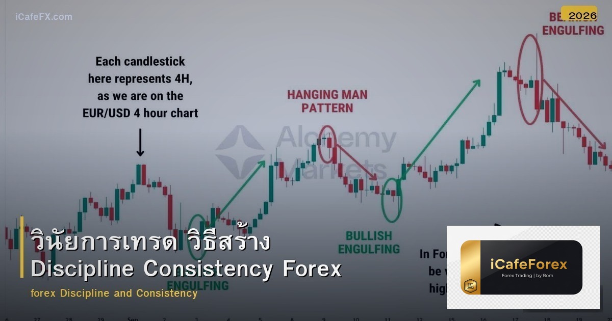วินัยการเทรด วิธีสร้าง Discipline Consistency Forex