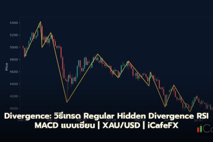 Divergence: วิธีเทรด Regular Hidden Divergence RSI MACD แบบเซียน