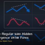 Divergence Regular และ Hidden วิธีใช้ Divergence เทรด Forex