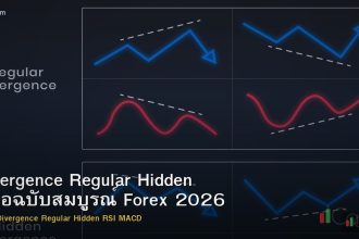 Divergence Regular Hidden คู่มือฉบับสมบูรณ์ Forex 2026