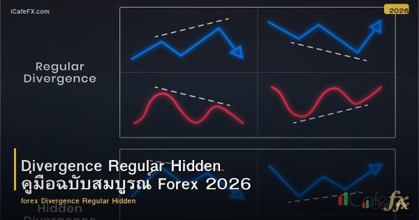 Divergence Regular Hidden คู่มือฉบับสมบูรณ์ Forex 2026