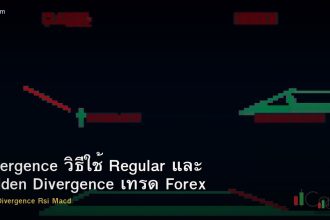 Divergence วิธีใช้ Regular และ Hidden Divergence เทรด Forex ครบทุก Indicator