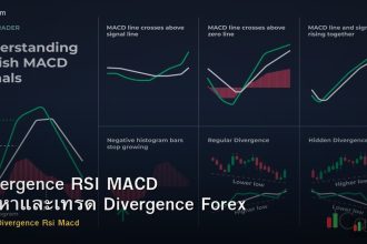 Divergence RSI MACD วิธีหาและเทรด Divergence Forex