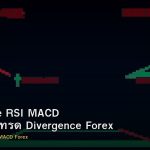 Divergence RSI MACD วิธีหาและเทรด Divergence Forex