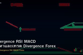 Divergence RSI MACD วิธีหาและเทรด Divergence Forex