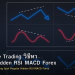 Divergence Trading วิธีหา Regular Hidden RSI MACD Forex