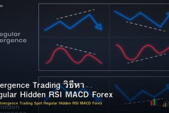 Divergence Trading วิธีหา Regular Hidden RSI MACD Forex
