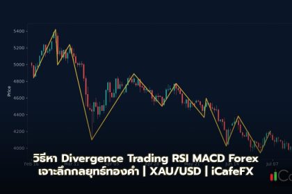 Divergence Trading วิธีหา Regular Hidden RSI MACD Forex