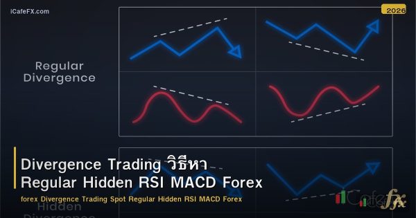 Divergence Trading วิธีหา Regular Hidden RSI MACD Forex