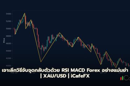 Divergence Trading วิธีจับจุดกลับตัวด้วย RSI MACD Forex