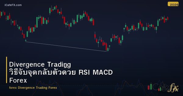 Divergence Trading วิธีจับจุดกลับตัวด้วย RSI MACD Forex
