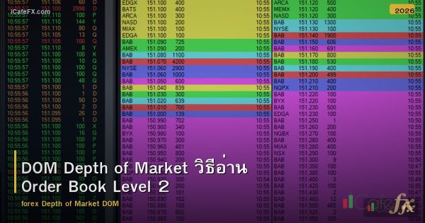 DOM Depth of Market วิธีอ่าน Order Book Level 2