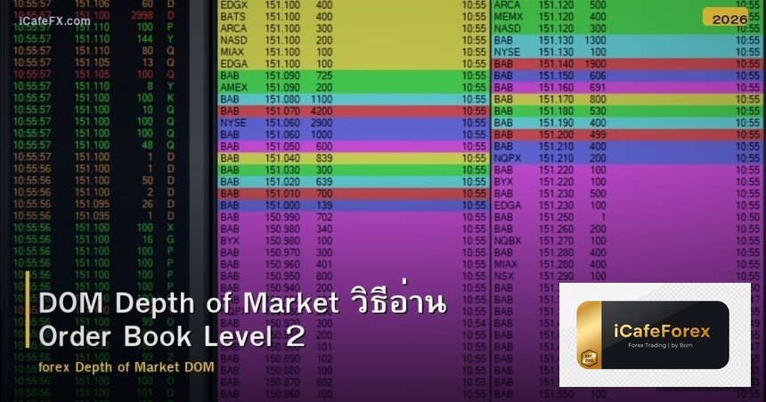 DOM Depth of Market วิธีอ่าน Order Book Level 2
