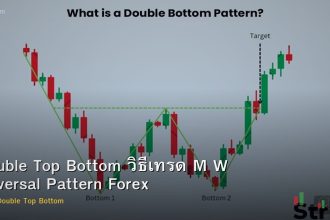 Double Top Bottom วิธีเทรด M W Reversal Pattern Forex