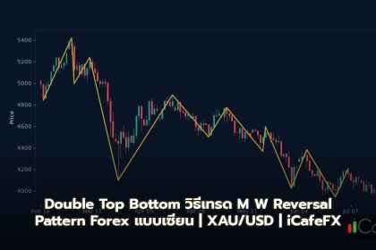 Double Top Bottom วิธีเทรด M W Reversal Pattern Forex