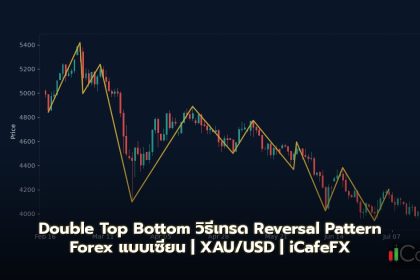 Double Top Bottom วิธีเทรด Reversal Pattern Forex