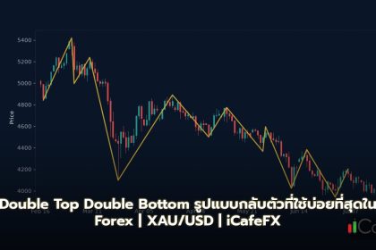 Double Top Double Bottom รูปแบบกลับตัวที่ใช้บ่อยที่สุดใน Forex