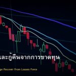 Drawdown วิธีจัดการและกู้คืนจากการขาดทุน Forex
