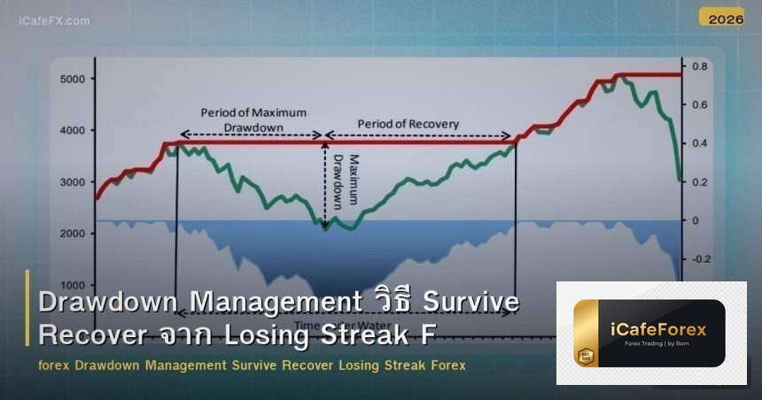 Drawdown Management วิธี Survive Recover จาก Losing Streak Forex