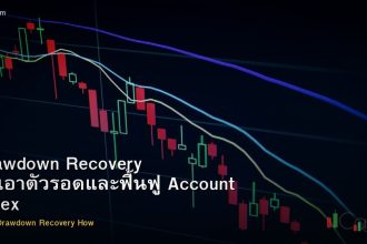 Drawdown Recovery วิธีเอาตัวรอดและฟื้นฟู Account Forex