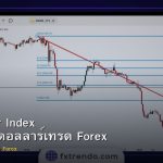 DXY Dollar Index วิธีใช้ดัชนีดอลลาร์เทรด Forex