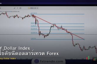 DXY Dollar Index วิธีใช้ดัชนีดอลลาร์เทรด Forex