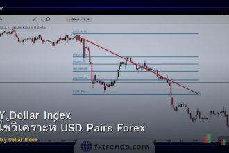 DXY Dollar Index วิธีใช้วิเคราะห์ USD Pairs Forex