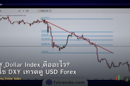 DXY Dollar Index คืออะไร? วิธีใช้ DXY เทรดคู่ USD Forex