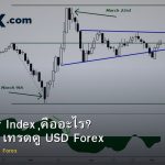 DXY Dollar Index คืออะไร? วิธีใช้ DXY เทรดคู่ USD Forex