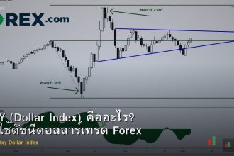 DXY (Dollar Index) คืออะไร? วิธีใช้ดัชนีดอลลาร์เทรด Forex