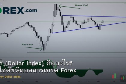 DXY (Dollar Index) คืออะไร? วิธีใช้ดัชนีดอลลาร์เทรด Forex