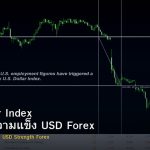 DXY Dollar Index วิธีใช้วัดความแข็ง USD Forex