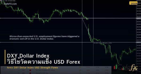 DXY Dollar Index วิธีใช้วัดความแข็ง USD Forex