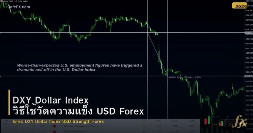 DXY Dollar Index วิธีใช้วัดความแข็ง USD Forex