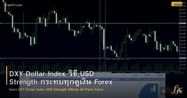 DXY Dollar Index วิธี USD Strength กระทบทุกคู่เงิน Forex