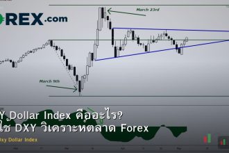 DXY Dollar Index คืออะไร? วิธีใช้ DXY วิเคราะห์ตลาด Forex