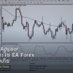 EA Expert Advisor วิธีเลือกและใช้ EA Forex อย่างปลอดภัย