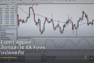EA Expert Advisor วิธีเลือกและใช้ EA Forex อย่างปลอดภัย