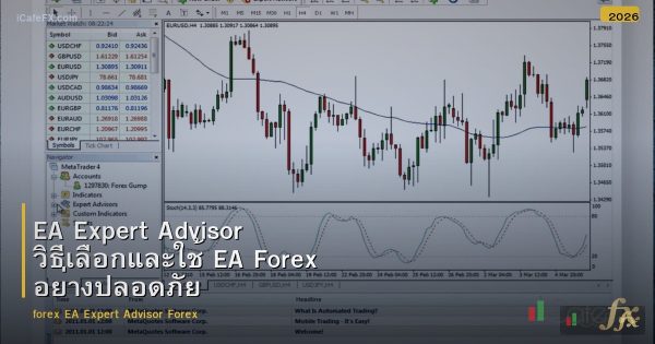 EA Expert Advisor วิธีเลือกและใช้ EA Forex อย่างปลอดภัย