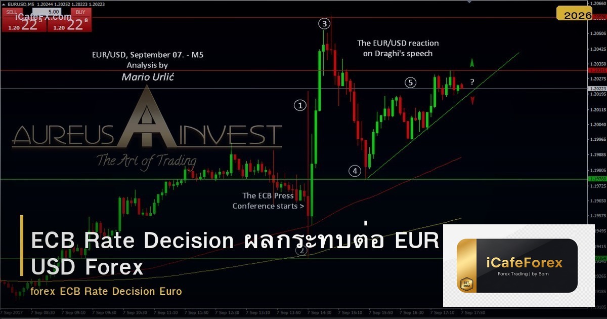 ECB Rate Decision ผลกระทบต่อ EUR USD Forex